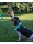 Su Geçirmez Biothane Köpek Tasması 2