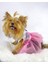 Pinky Minnie Tütülü Köpek Elbisesi, Kıyafeti Tutu 1