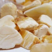 Okyanus Silver 925 Ayar Gümüş Püsküllü Küre Kesim King Seccer Sarı-Beyaz Hareli Damla Kehribar Tesbih