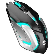 Everest SM-G72 USB Siyah/gümüş Işıklı Gamıng Mouse