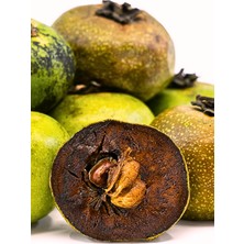 FidanBudur Çikolata Meyvesi, Çikolata Puding Meyvesi, Black Sapote, 3 Adet