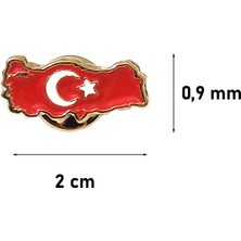 Hiçdurmaal Ay Yıldız Figürlü Gold Renkli Mini Türkiye Haritası Yaka Rozeti 1 Adet