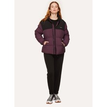 Discovery Expedition Siyah  -  Mor Kadın Kapüşon Yaka Mont D3WL-MNT13
