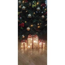 Kordelya Design Yılbaşı Ağacı Altı LED Işıklı 3lü Kutu