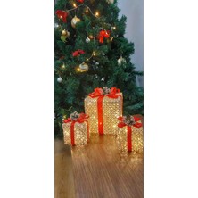 Kordelya Design Yılbaşı Ağacı Altı LED Işıklı 3lü Kutu
