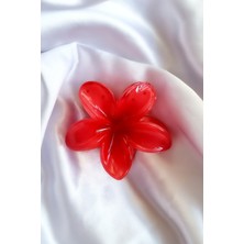 Trade Bazaar  Lotus Çiçeği Yeni Trend Kadın Mandal Toka Büyük Boy 8 cm