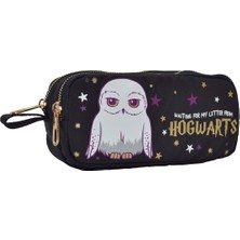 ÖBM Harry Potter Hogwarts Hedwig Kalem Kutusu 2103