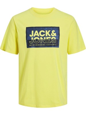 Jack & Jones 12253442 Jcologan Tee Ss Crew Neck SS24 Ln Sarı