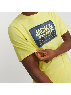 Jack & Jones 12253442 Jcologan Tee Ss Crew Neck SS24 Ln Sarı