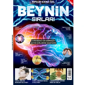 Beynin Sırları