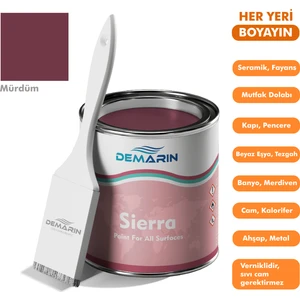 Her Şeyi Boyayabilen Demarin Sierra Tek Bileşen Fayans, Tezgah, Seramik, Mobilya, Zemin Boyası