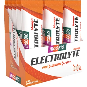 Electrolyte Mango Kutu (15 adet)