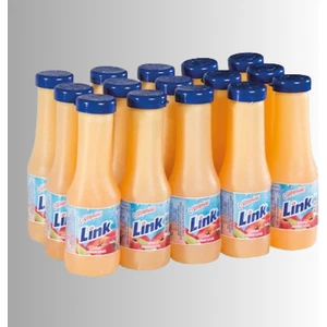 Link Şeftali 250 ml x 15’li