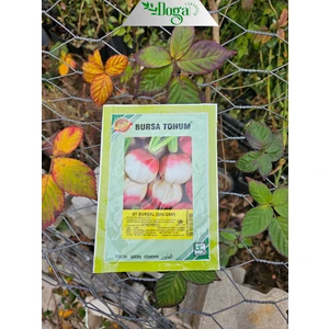 Doğa Fidancılık Şalgam Turpu Tohumu