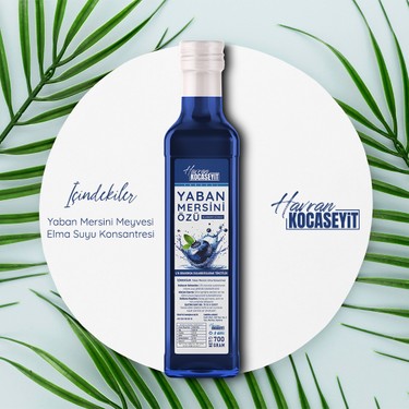 Havran Kocaseyit Yaban Mersini Özü 700 gr Fiyatı