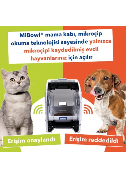 Mibowl Mikroçip Uyumlu Otomatik Mama Kabı