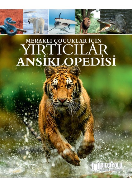 Meraklı Çocuklar İçin Yırtıcılar Ansiklopedisi