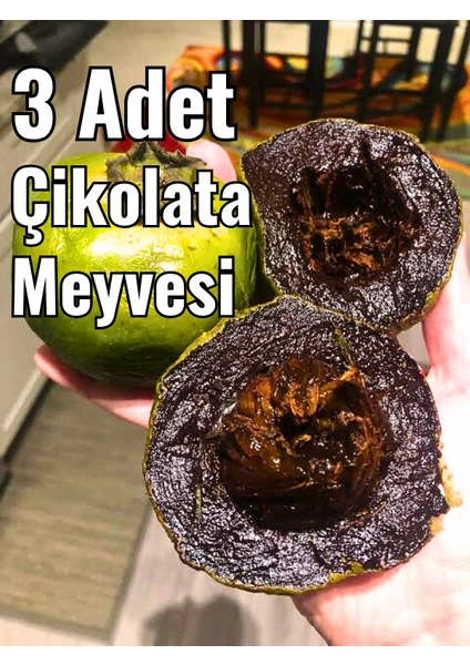 Çikolata Meyvesi, Çikolata Puding Meyvesi, Black Sapote, 3 Adet