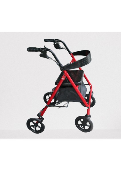 Poylin P580 Rolatör modelleri