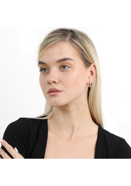 Sıralı Zirkon Taşlı Rose Renk Yarım Tur 925 Ayar Gümüş Kadın Küpe fiyatları