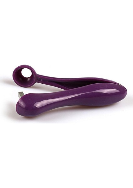 Paslanmaz Çelik Kiraz Meyve Mutfak Zeytin Stoner Çekirdek Corer Pitter Remover Pit Aracı Tohum Gadget Kaldır (Yurt Dışından) fiyatları