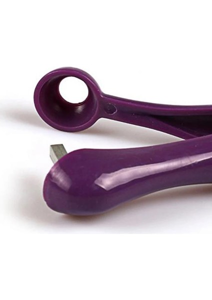 Paslanmaz Çelik Kiraz Meyve Mutfak Zeytin Stoner Çekirdek Corer Pitter Remover Pit Aracı Tohum Gadget Kaldır (Yurt Dışından) fırsatları