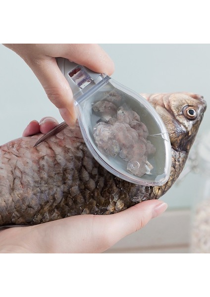 Yeşil Stil Mutfak Aksesuarları Balık Derisi Kazıyıcı Fırça Olta Ölçeği Hızlı Balık Bıçağı Temizleme Soyucu Plastik Mutfak Pişirme Araçları Alet (Yurt Dışından) fiyatları