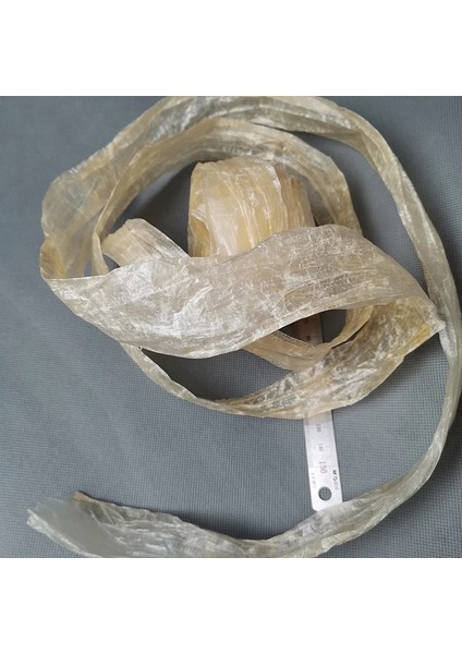 1 Adet Naturel Sosis Gövde Genişlik Kalibre Boy 4m Sosis Kabuk Sosis Kapağı Izgara Sosis Kabuğu Jambon Gövde (Yurt Dışından) fırsatları