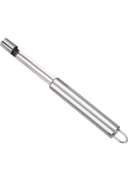 Büyük Shaguo Çekirdek Stili Paslanmaz Çelik Meyve Denükleatör Elma Çekirdek Çekme Cihazı Kiraz Tohumları Çıkarma Çekirdek Çekme Cihazı Mutfak Aletleri Çekirdek Çıkarıcı (Yurt Dışından)