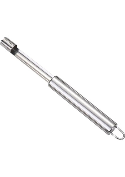 Küçük Kiraz Çukuru Tarzı Paslanmaz Çelik Meyve Denükleatör Elma Çekirdek Çekme Cihazı Kiraz Tohumları Çıkarma Çekirdek Çekme Cihazı Mutfak Aletleri Çekirdek Çıkarıcı (Yurt Dışından)