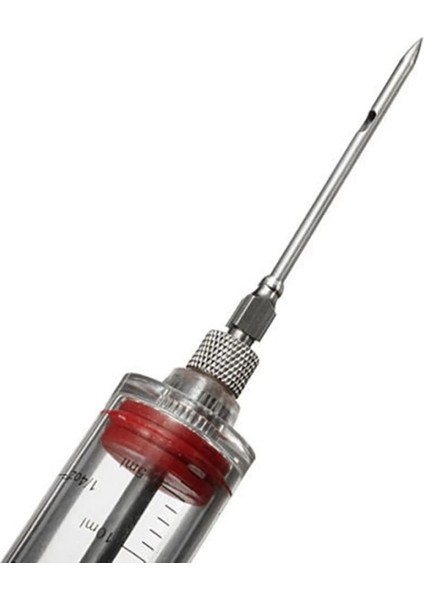 20ML 6 Iğne 2 Fırça Stili 3 Paslanmaz Çelik Iğneler Baharat Şırınga Seti Barbekü Et Lezzet Enjektörü Kithen Pişirme Sosu Marine I Aksesuarları (Yurt Dışından)