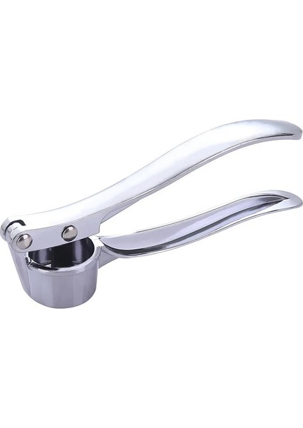 1 Adet Tarzı Paslanmaz Sarımsak Pres Kırıcı Mutfak Pişirme Sebze Zencefil Sıkacağı Ezici El Zencefil Kıyma Aletleri Kichen Aksesuarları (Yurt Dışından) fırsatları