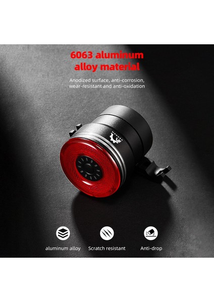 Ysanam Arka Bisiklet Işık Akıllı Sensör USB LED Mtb Bisiklet Lambası Bisiklet El Feneri Arka Lambası Döngüsü Aksesuarları Bisiklet Sele Işık (Yurt Dışından) fırsatları