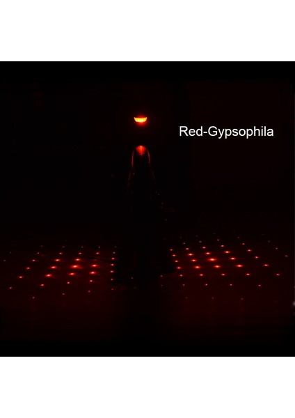 Kırmızı-Gypsophila Tarzı Bisiklet Bisiklet Işıkları Arka Lambaları Lazer Güvenlik Uyarısı Su Geçirmez Lamba 5 Led+2 Bisiklet Işık Reflektörü Bisiklet Aksesuarları Işık (Yurt Dışından)