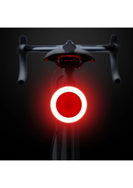 No.3 Tarzı Çoklu Aydınlatma Modları Bisiklet Işığı USB Şarj LED Bisiklet Işığı Flaş Kuyruk Dağlar Için Arka Bisiklet Işıkları Bisiklet Seatpost (Yurt Dışından)