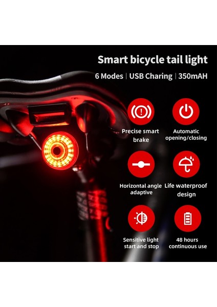 2 Montaj Stili ile Leadbike Bisiklet Arka Işık Akıllı Otomatik Fren Algılama Kuyruk Işık LED Şarj Su Geçirmez Ipx6 Bisiklet Arka Lambası Bisiklet Aksesuarı (Yurt Dışından) fiyatları