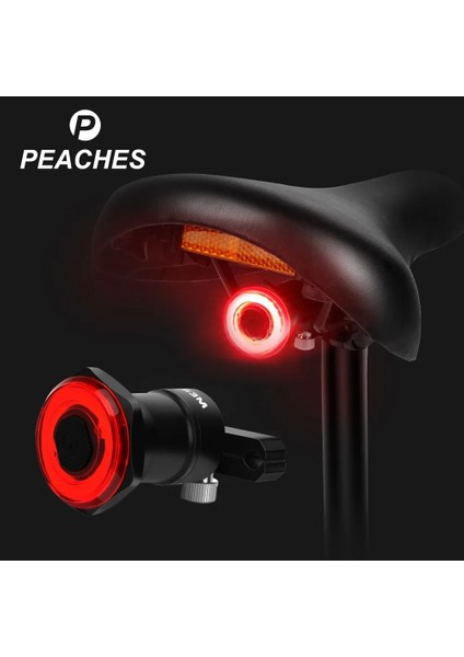 Bir Stil Yeni Akıllı Bisiklet Kuyruk Lambası Otomatik Başlatma Durdurma Fren Uyarı Arka Işık Ipx6 Su Geçirmez USB Şarj Bisiklet Arka Lambası Bisiklet Lambası (Yurt Dışından) modelleri