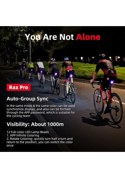 Eyer Tutucu Stili Shanren Raz Pro Bisiklet Işık Akıllı Fren Kuyruk Işık USB LED Şarj Edilebilir Mtb Bisiklet Arka Işık Kask Için Bisiklet Aksesuarları (Yurt Dışından) fırsatları