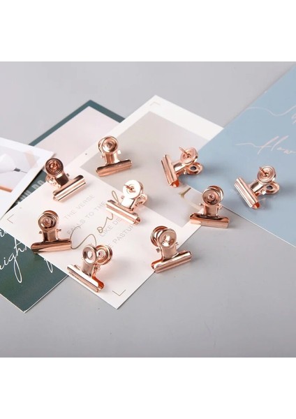 Bir Stil Bağlayıcı Klipsli Kutu Putylish Parmak Zımbaları Raptiye Metal Tırnak Klipsi Gül Altın Not Klipsi Kelime Bağlama Klipsi (Yurt Dışından) indirimleri