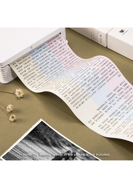 3 Adet Gökkuşağı Tarzı Rulo Termal Kağıt Rulo Gökkuşağı Kağıdı Bpa Içermeyen Uzun Ömürlü Paperang C1 Cep Yazıcısı Için 2 Yıl (Yurt Dışından) indirimleri