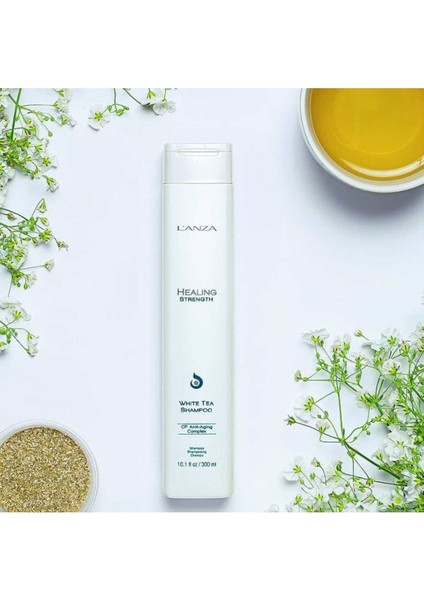 Şampuan Lanza White Tea Shampoo Healing Strength Yaşlanma Karşıtı 300 ml