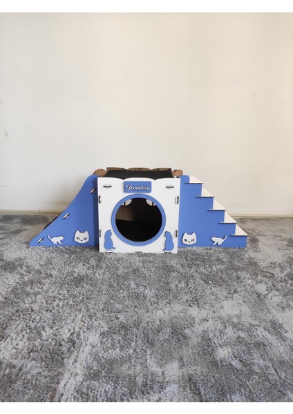 Mavi Kedi Evi Kedi Yuvası