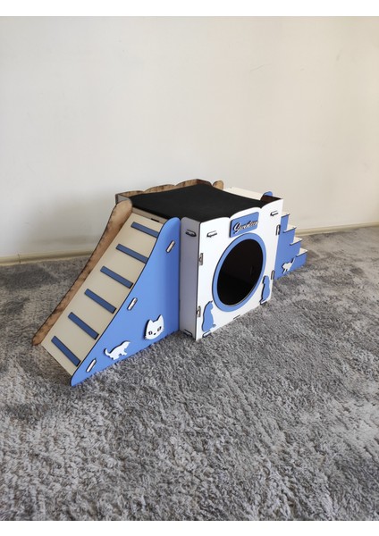Mavi Kedi Evi Kedi Yuvası