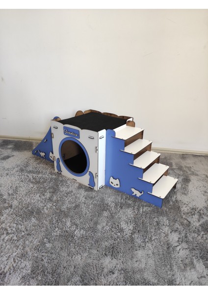 Mavi Kedi Evi Kedi Yuvası