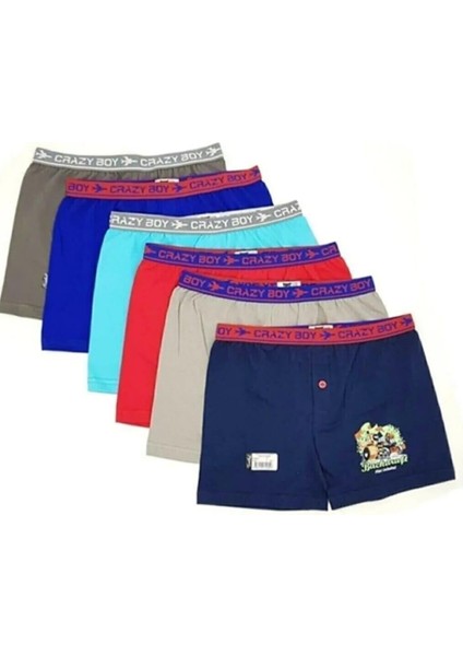 0253 Erkek Çocuk Desenli Likralı Boxer Şort 6 Adet fiyatları