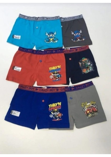 0253 Erkek Çocuk Desenli Likralı Boxer Şort 6 Adet modelleri