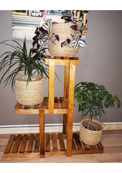 Dekoratif Yuvarlak Kulplu Sepet Saksılık 3lü Set