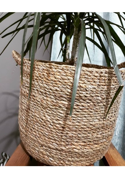 Dekoratif Yuvarlak Kulplu Sepet Saksılık 3lü Set modelleri