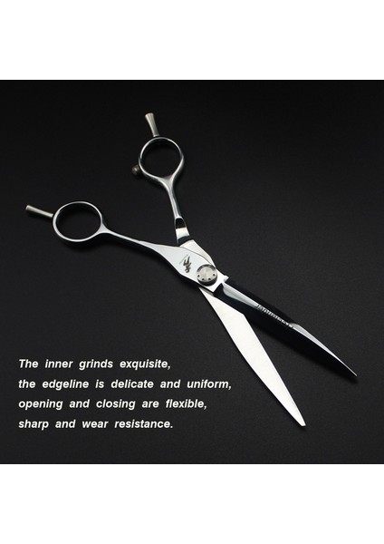 Keserek Kasa Stili Ekle 7 "profesyonel Evcil Hayvan Bakımı Kuaförlük Veya Çift Kuyruklu Berber Veya Saç Kesme Makası Veya Saç Kesimi 9cr Malzeme (Yurt Dışından) fiyatları