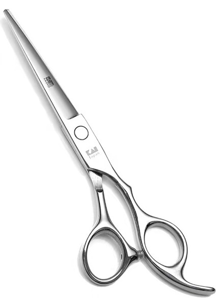 Gümüş Kesim Stili Japonya Orijinal 6.0 Profesyonel Kuaförlük Veya Profesyonel Kuaför Veya Set Saç Kesme Makası Veya Saç Kesimi (Yurt Dışından)